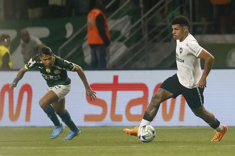 botafogo palmeiras luis henrique