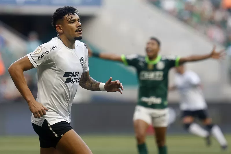 botafogo palmeiras tabela campeonato brasileiro