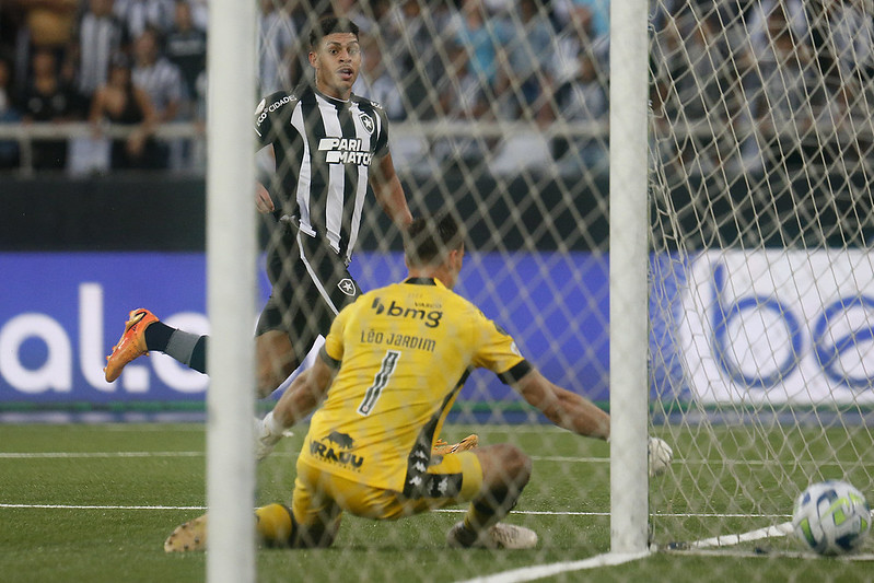 botafogo campeonato brasileiro claudio caçapa