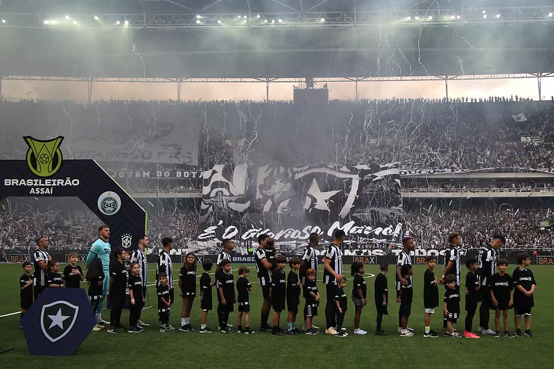 botafogo coritiba torcida