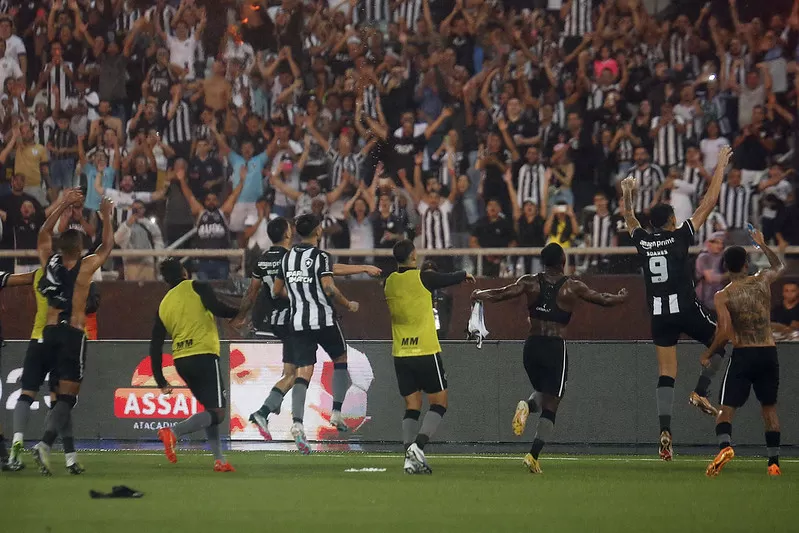 botafogo luis castro