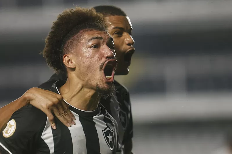 botafogo santos tabela campeonato brasileiro