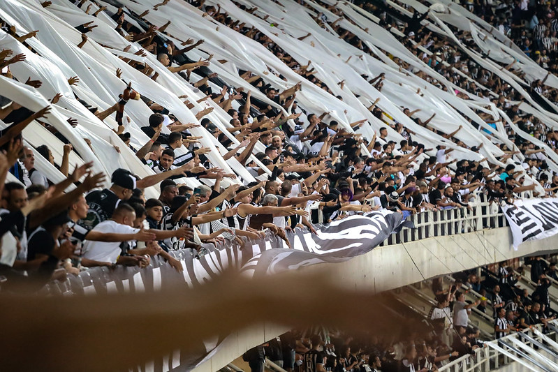 botafogo sócio-torcedor camisa 7