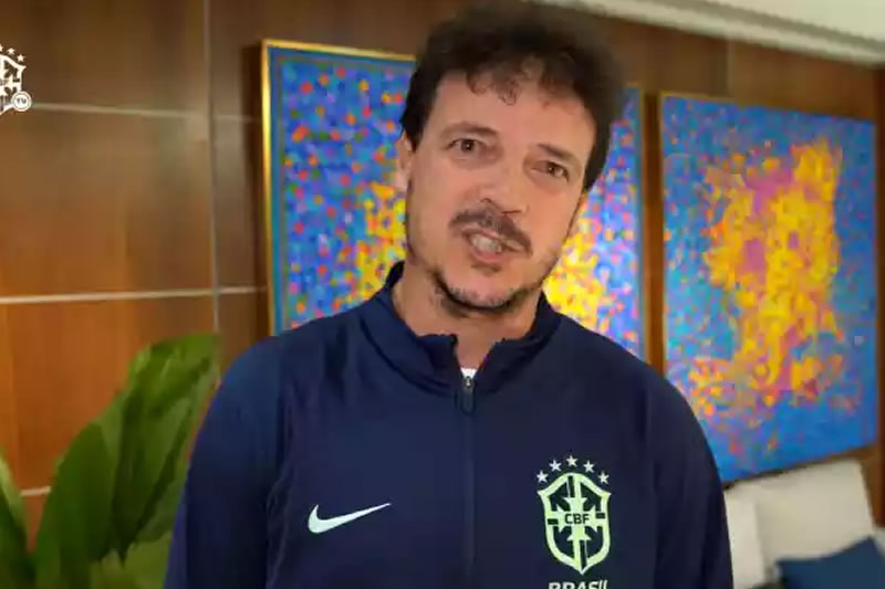 fernando diniz seleção fluminense botafogo