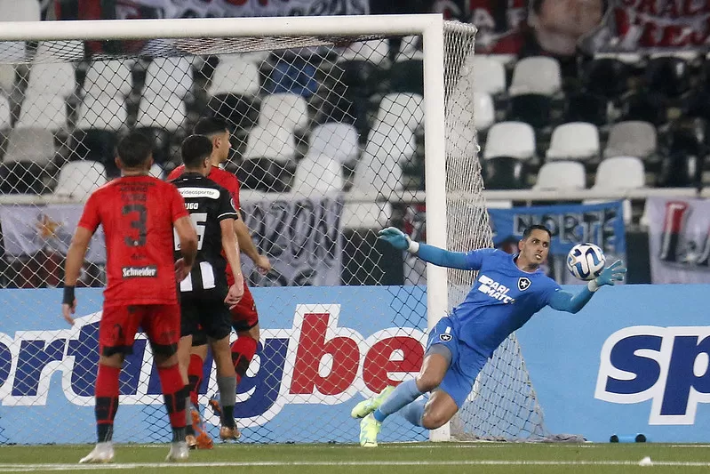 gatito botafogo patronato sul-americana