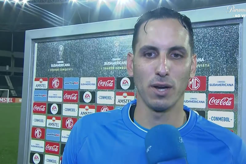 gatito botafogo patronato