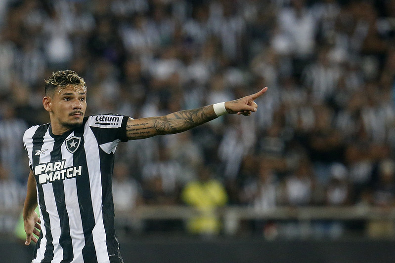 botafogo campeão tiquinho soares campeonato brasileiro