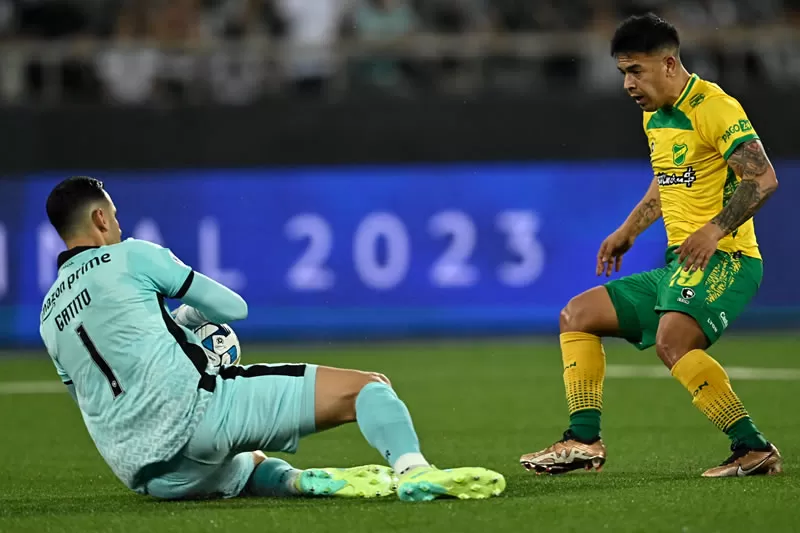 botafogo defensa y justicia gatito