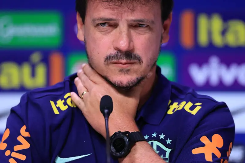 diniz seleção brasileira botafogo