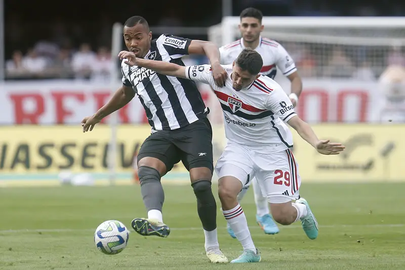 sao paulo botafogo campeonato brasileiro (73)