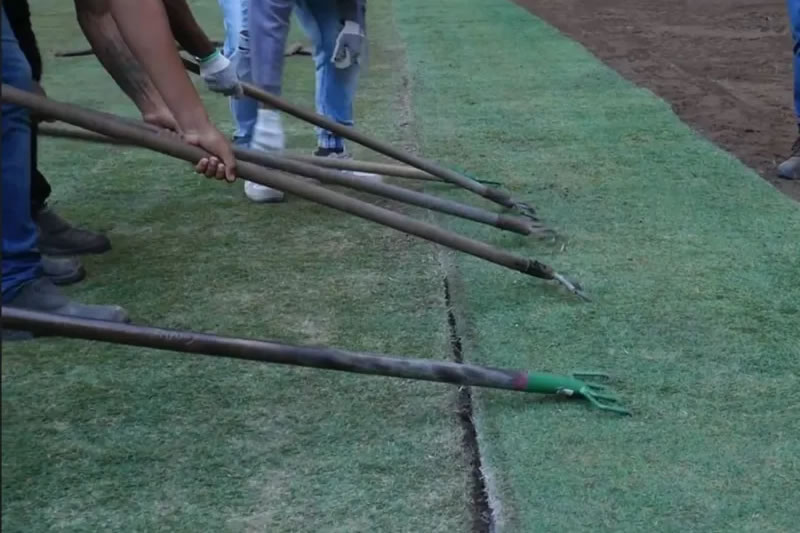 atletico-mg botafogo gramado arena mrv