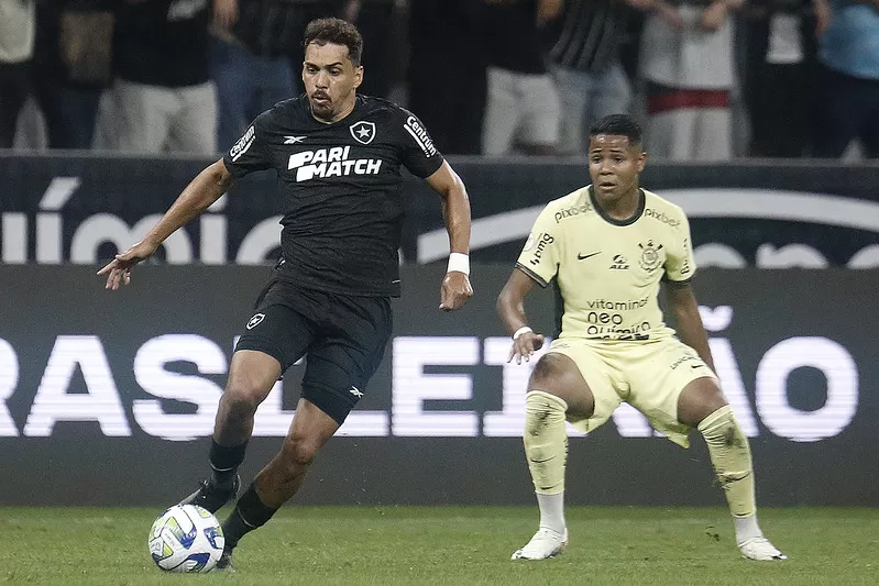 botafogo corinthians melhores momentos