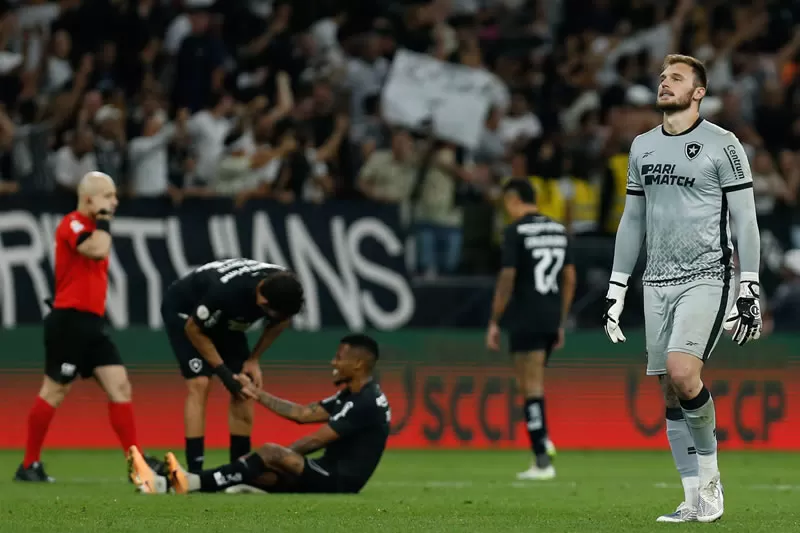 corinthians botafogo vanderlei luxemburgo