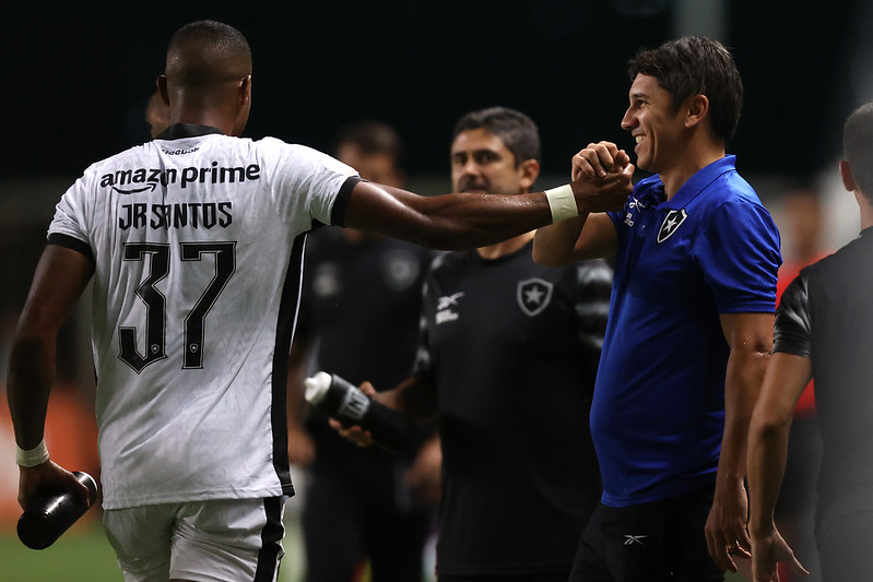 botafogo américa-mg lucio flavio