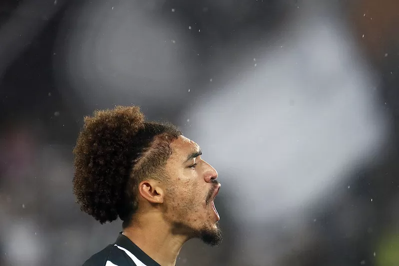 botafogo goiás campeonato brasileiro adryelson