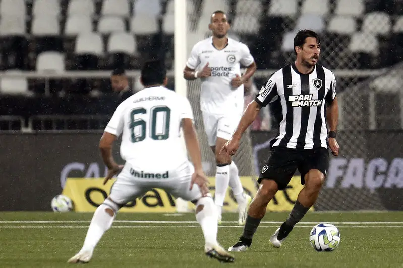 Goiás 1 x 1 Palmeiras  Campeonato Brasileiro: melhores momentos