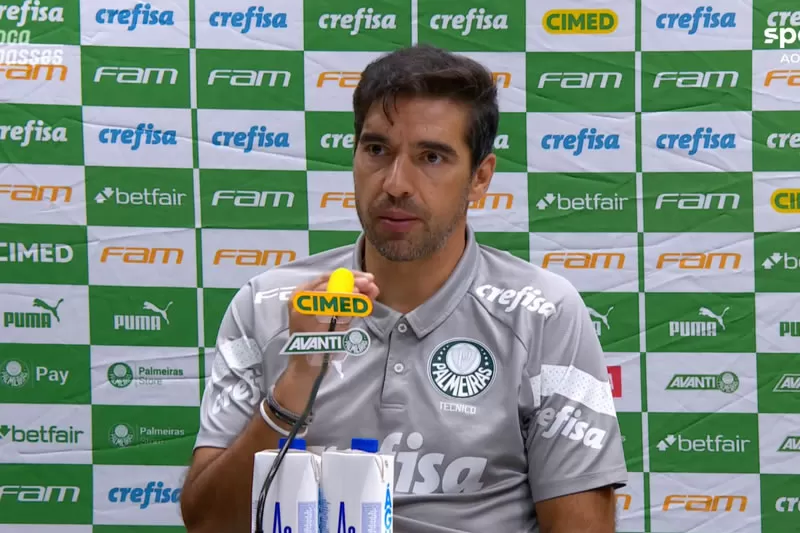 abel braga palmeiras flamengo botafogo