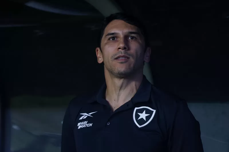 botafogo grêmio lucio flavio