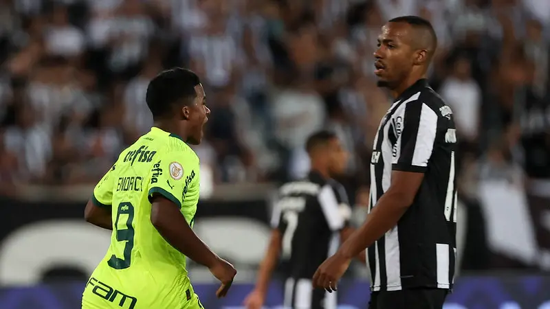 botafogo palmeiras chances titulo