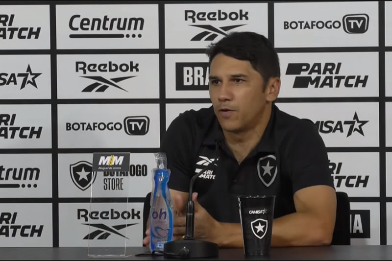 botafogo palmeiras lucio flavio