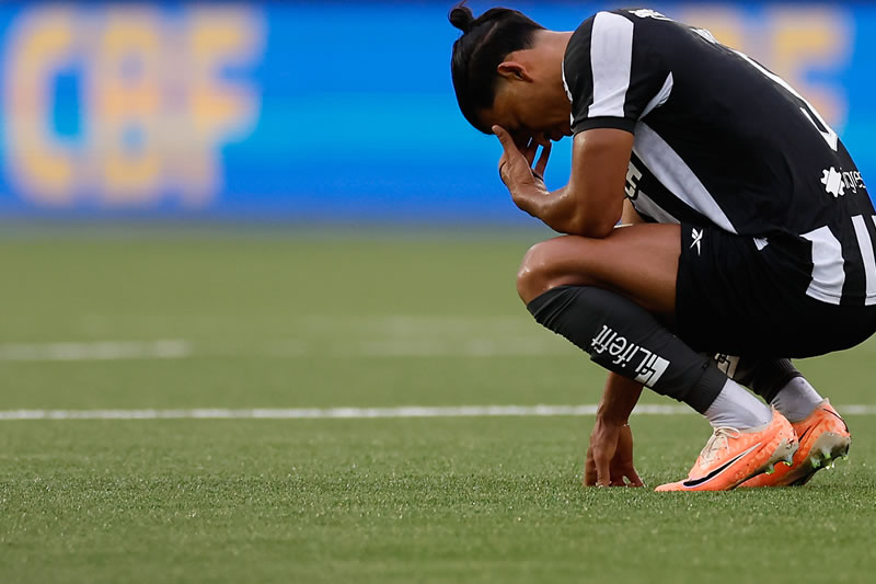 botafogo santos danilo barbosa