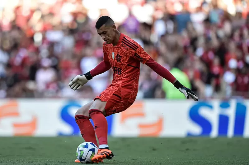 botafogo santos flamengo