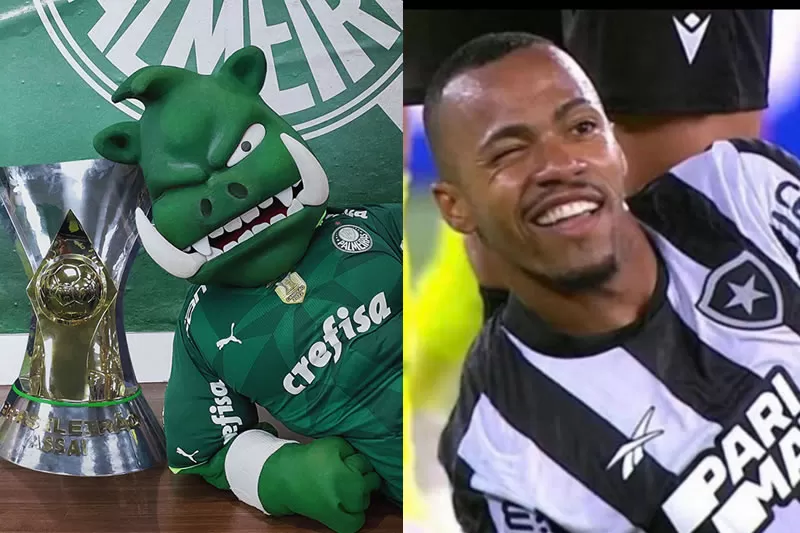 palmeiras botafogo