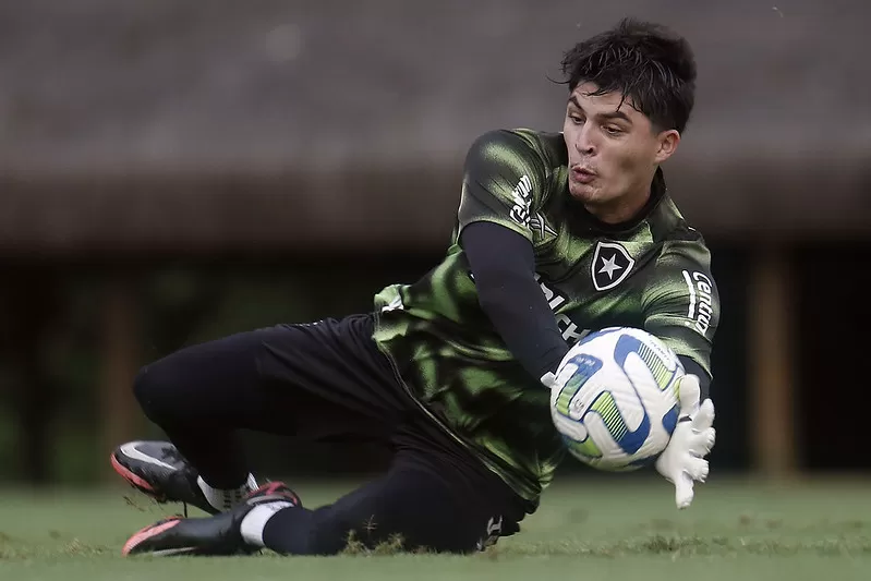 botafogo goleiro joão fernando