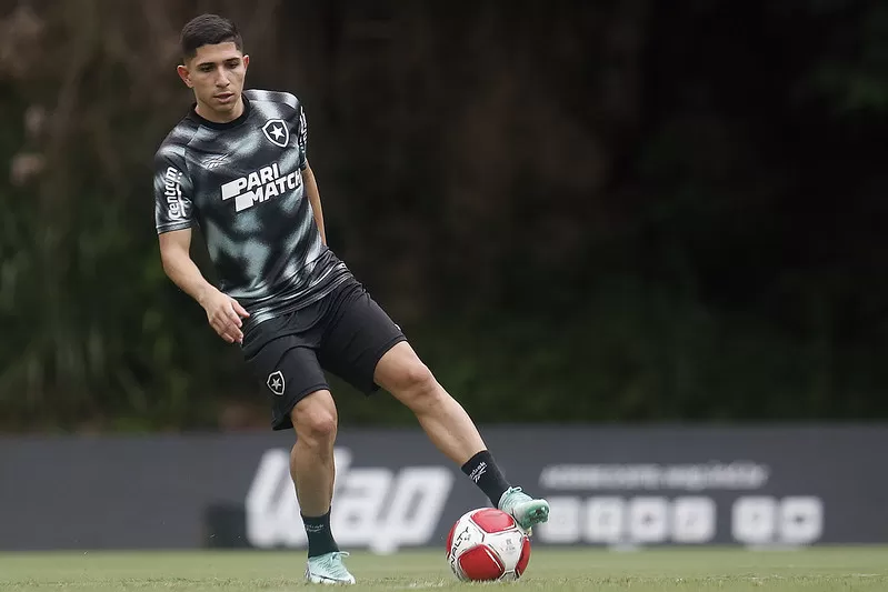 botafogo jefferson savarino