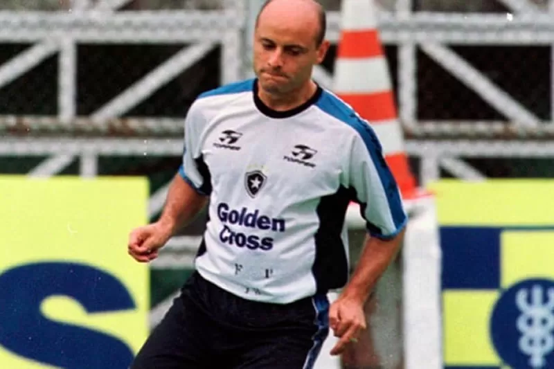 botafogo leandro avila