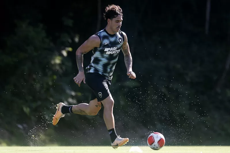 botafogo lucas halter