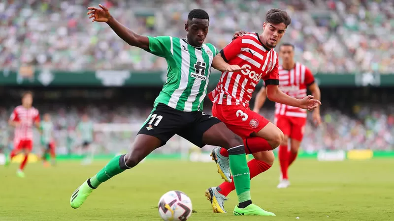 botafogo luiz henrique