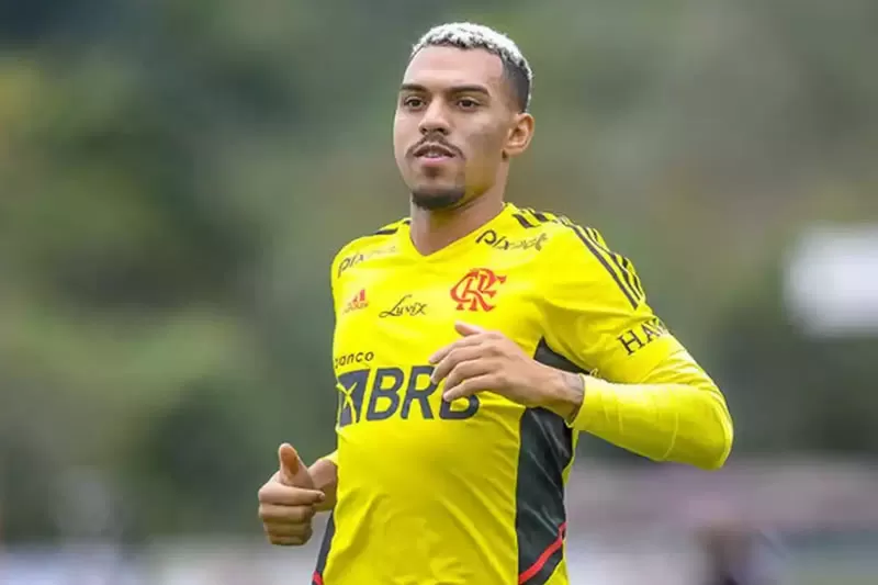 botafogo matheuzinho flamengo