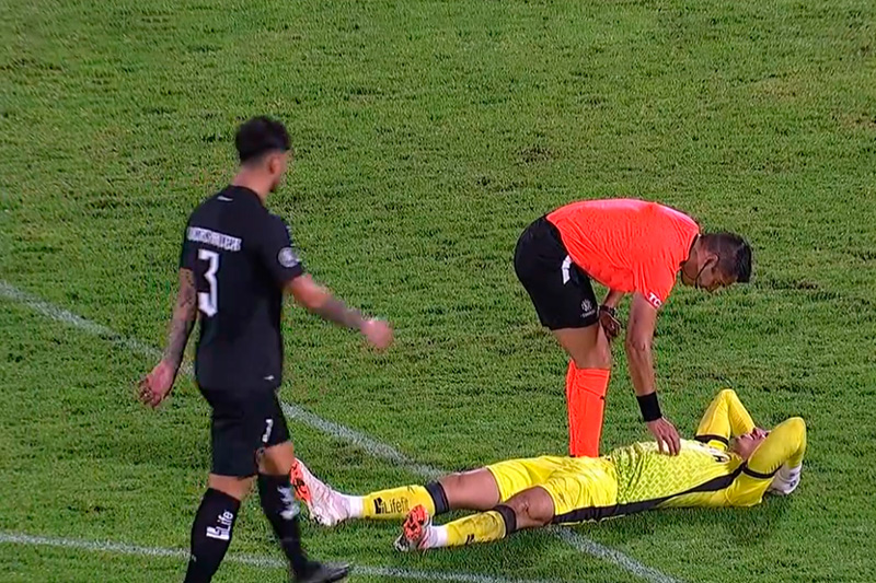 botafogo aurora gatito fernandez