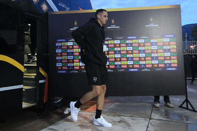 botafogo aurora gatito