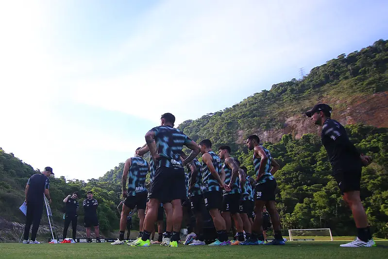 botafogo elenco 2024