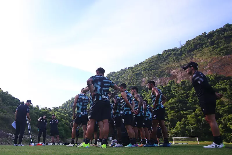 botafogo elenco 2024