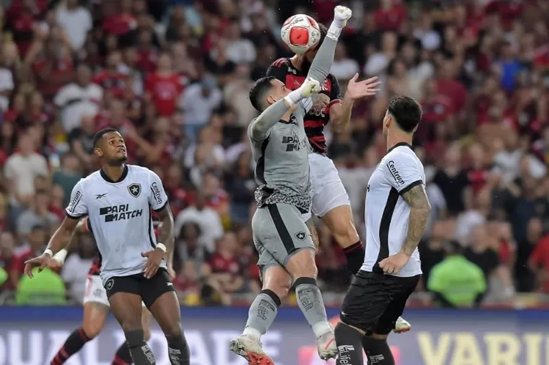 botafogo flamengo gatito leo pereira