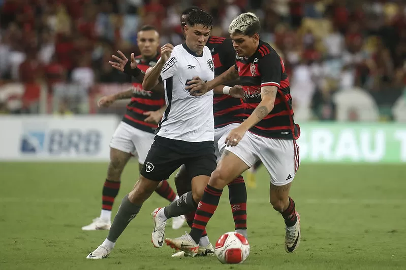 botafogo flamengo mateo ponte