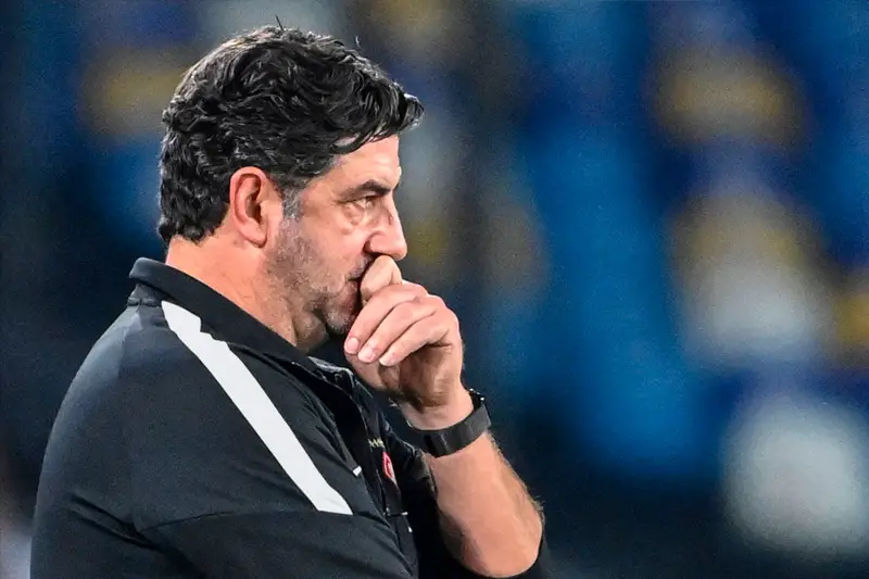 botafogo rui vitoria tecnico
