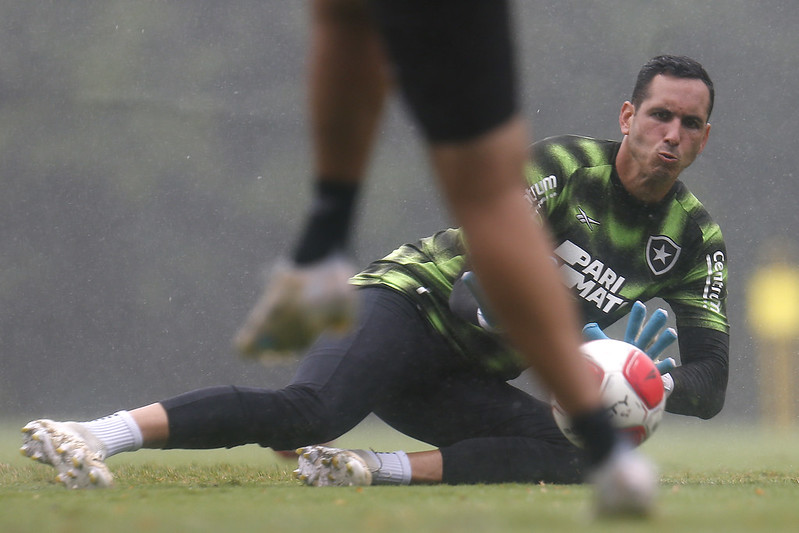 gatito botafogo aurora