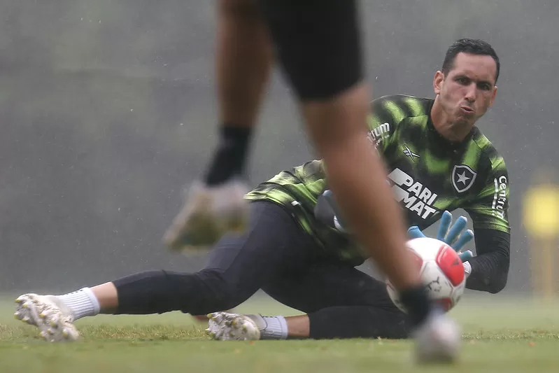 gatito botafogo aurora