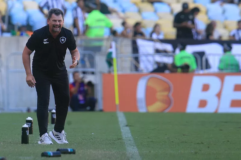 botafogo fluminense fabio matias
