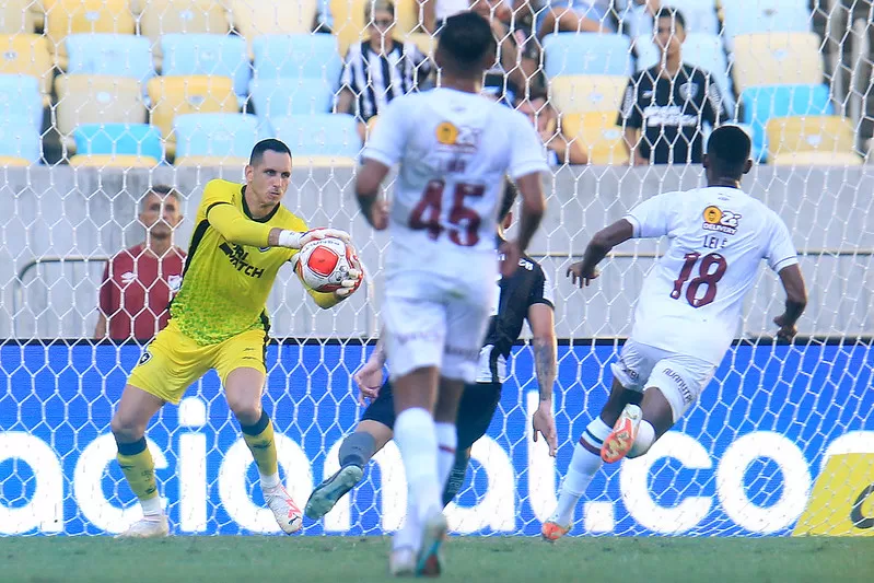 botafogo fluminense gatito internacional