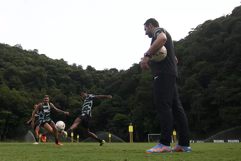 botafogo cruzeiro ldu