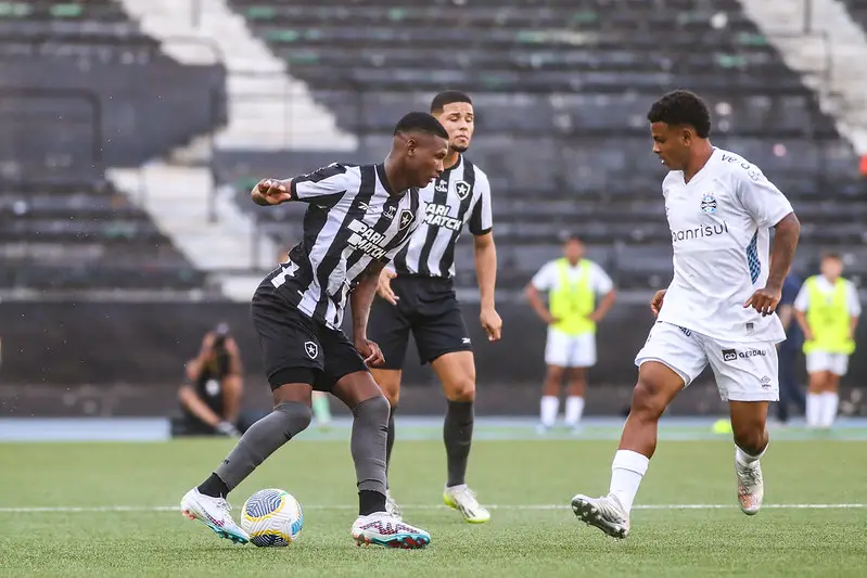 botafogo gremio campeonato brasileiro sub-20