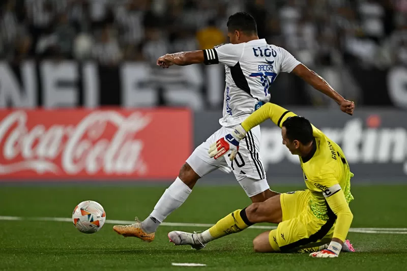 botafogo junior barranquilla gatito