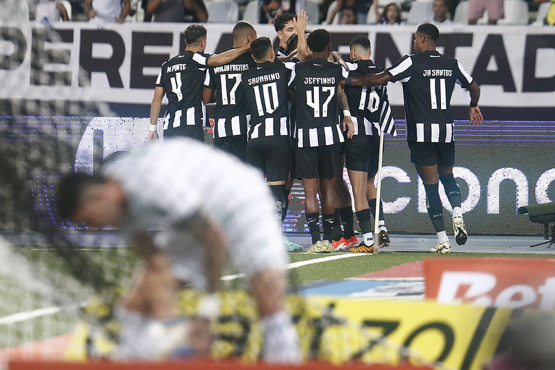 botafogo juventude nilton santos