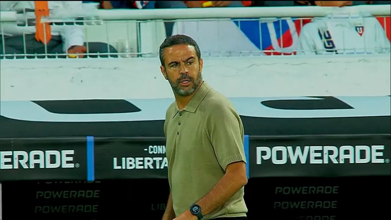 botafogo ldu artur jorge