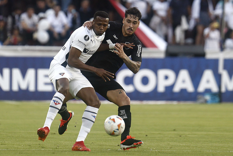 botafogo ldu lucas halter melhores momentos